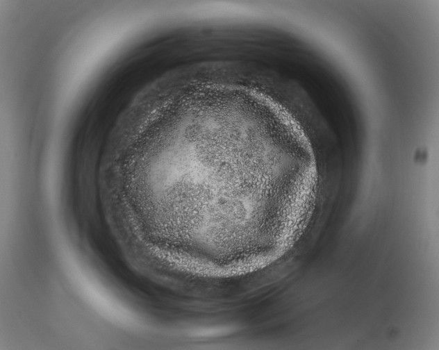 X0000113010765200909171429