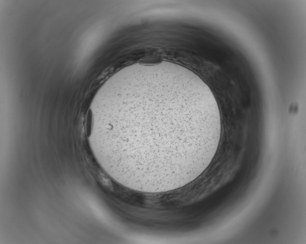 X0000113010766200909171429