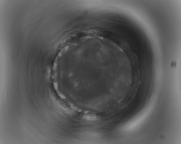 X0000113010767200909171429