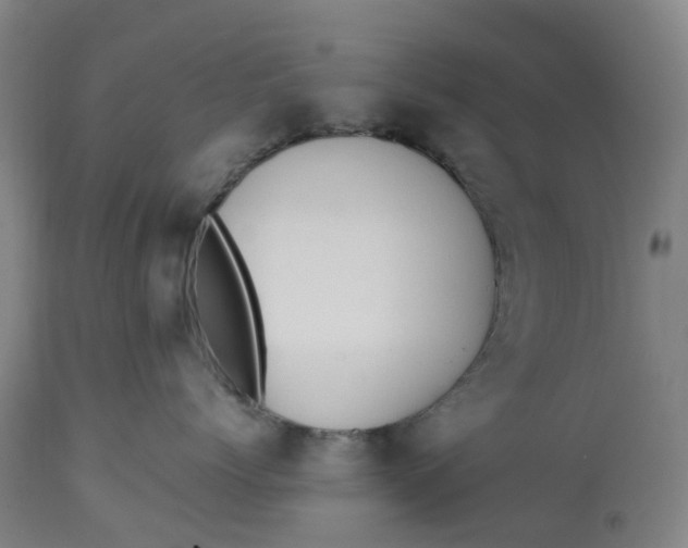 X0000113010768200909171429