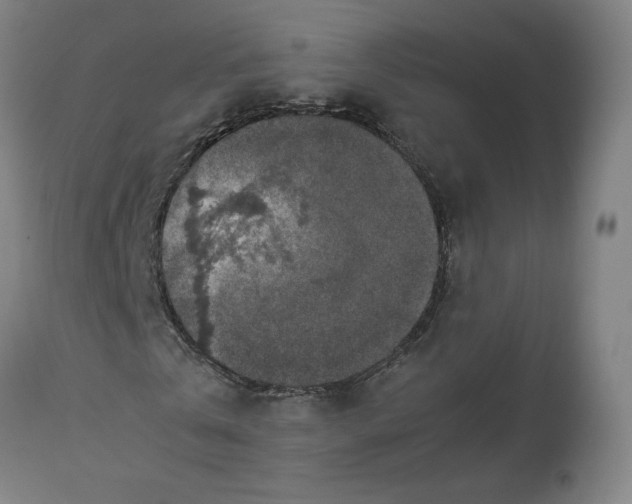 X0000113010769200909171429