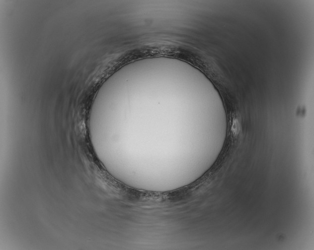 X0000113010771200909171429