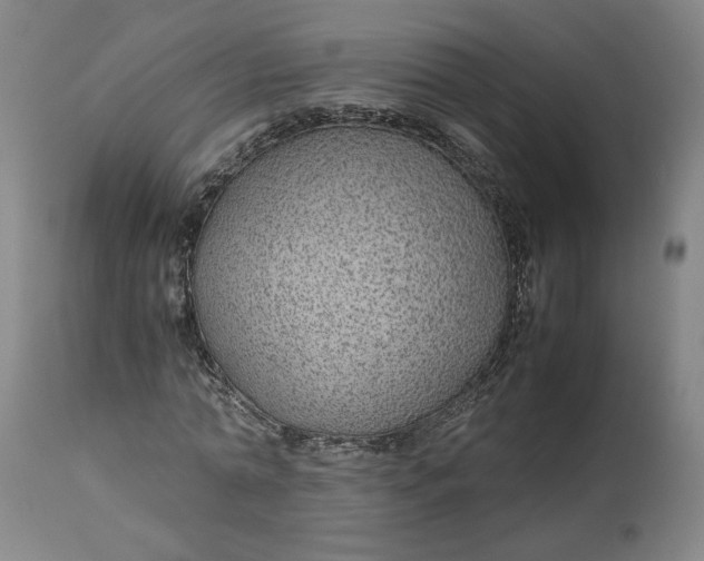 X0000113010774200909171429