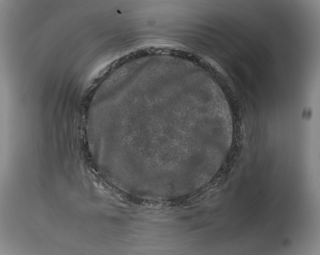 X0000113010775200909171429