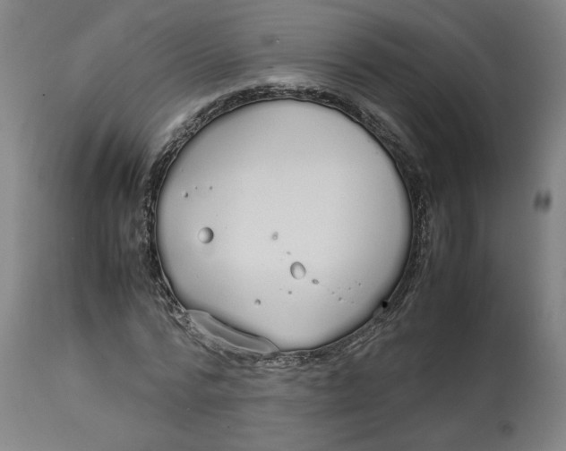 X0000113010776200909171429