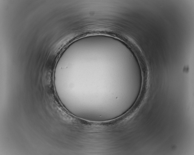 X0000113010777200909171428