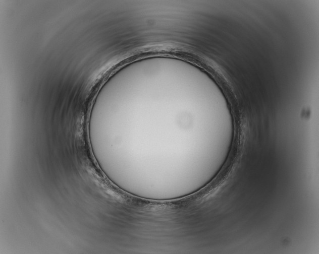 X0000113010778200909171428