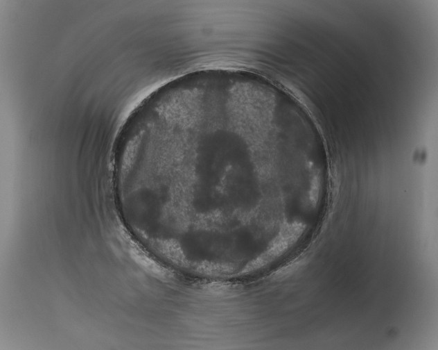 X0000113010779200909171428