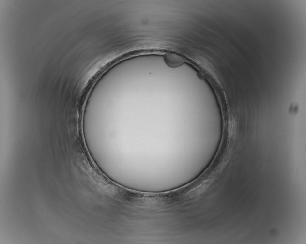 X0000113010781200909171428