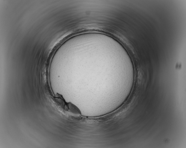 X0000113010782200909171428