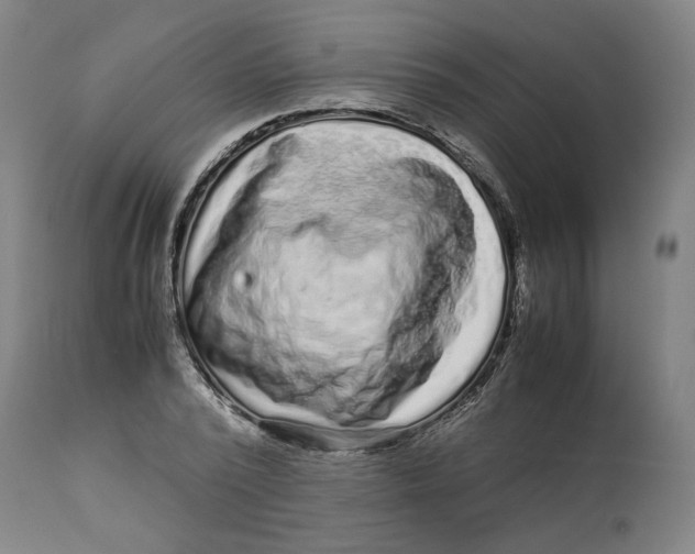 X0000113010784200909171428