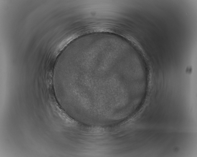 X0000113010785200909171428