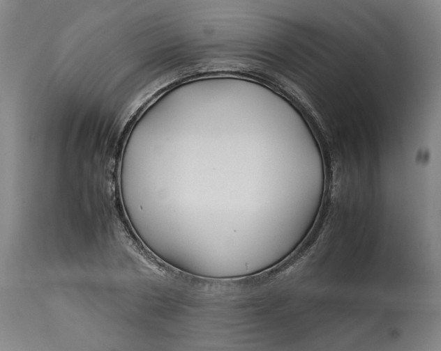 X0000113010786200909171428