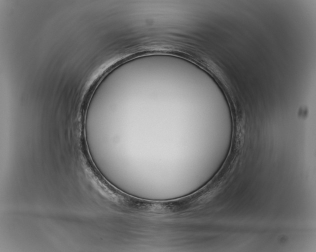 X0000113010787200909171428