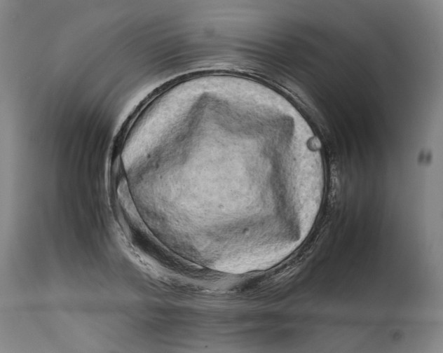 X0000113010788200909171428