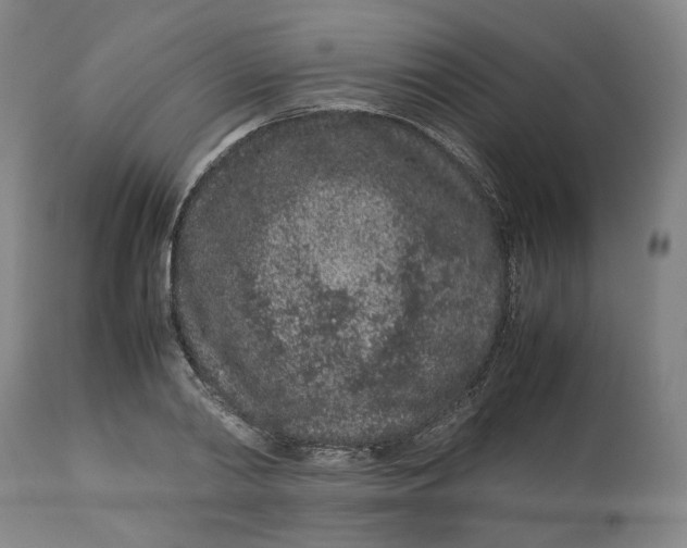 X0000113010790200909171428