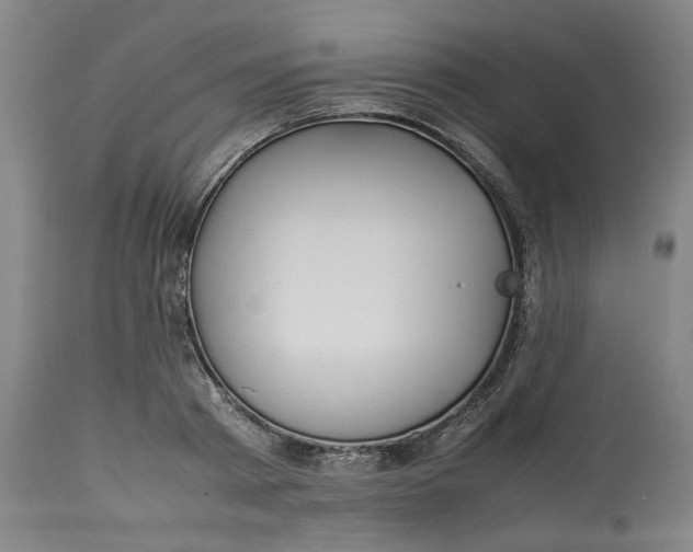 X0000113010793200909171428