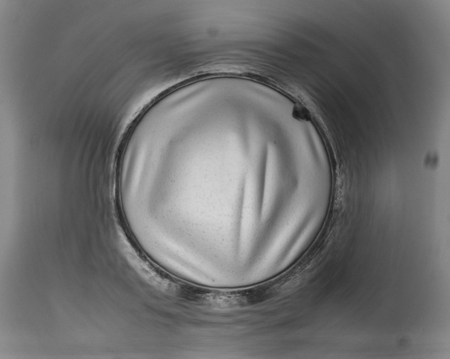 X0000113010795200909171428