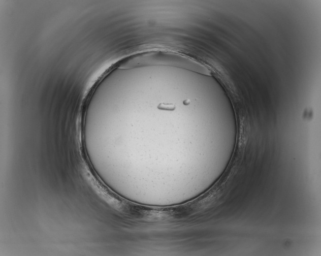 X0000113010796200909171428