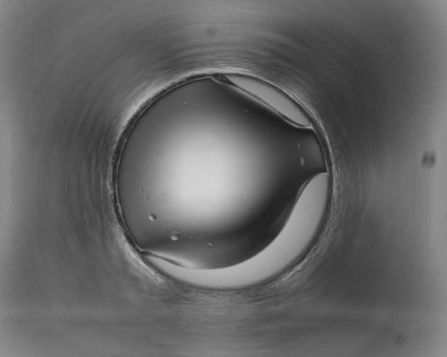 X0000113010797200909171428