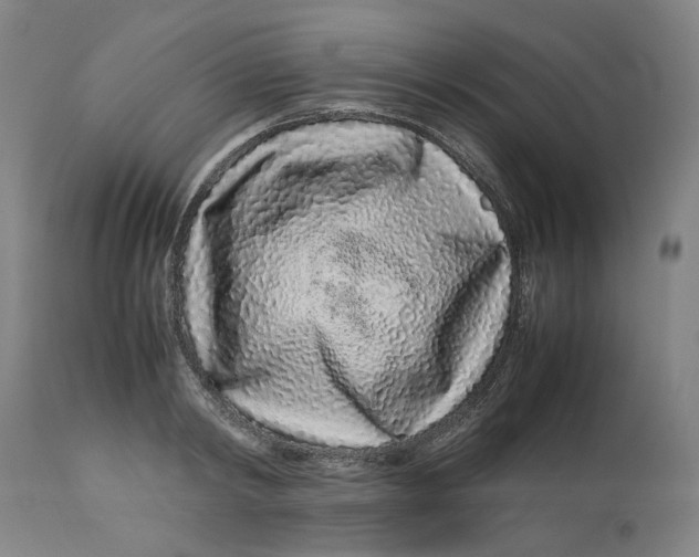 X0000113010798200909171428