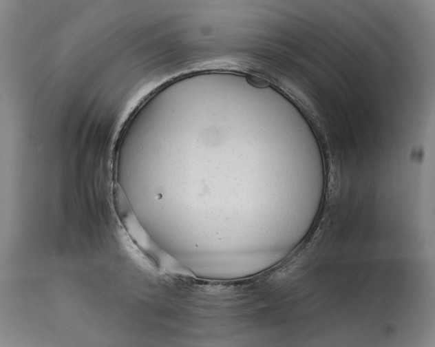 X0000113010800200909171428