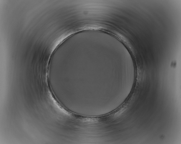 X0000113010802200909171428