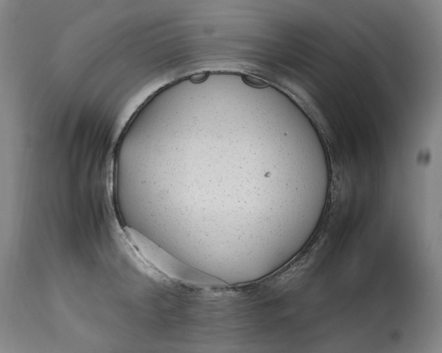 X0000113010804200909171428