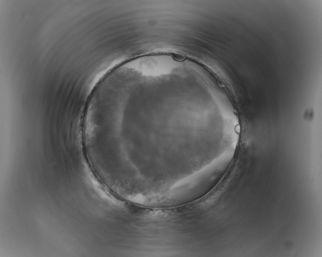 X0000113010806200909171428