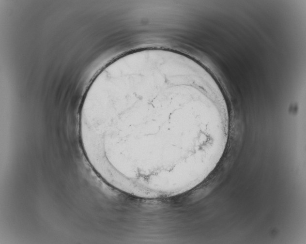 X0000113010807200909171428