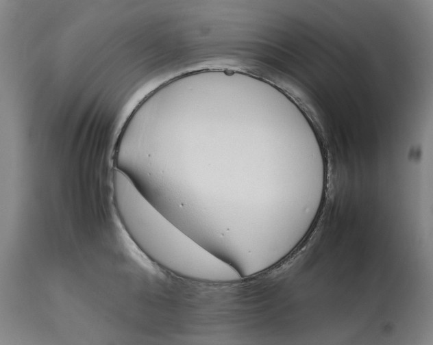 X0000113010808200909171428