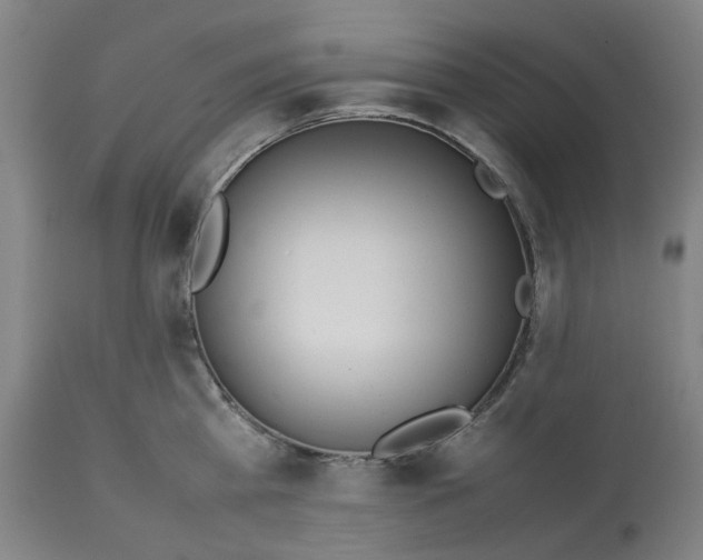 X0000113010809200909171428