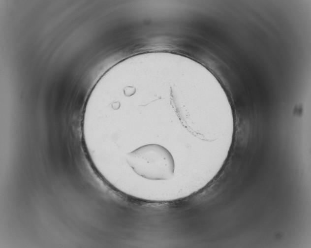 X0000113010810200909171428