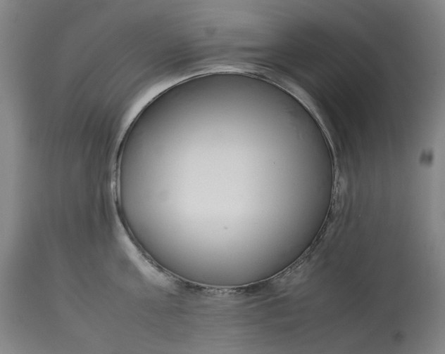 X0000113010811200909171428