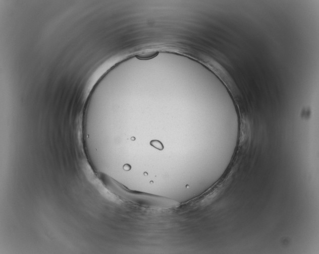 X0000113010812200909171428