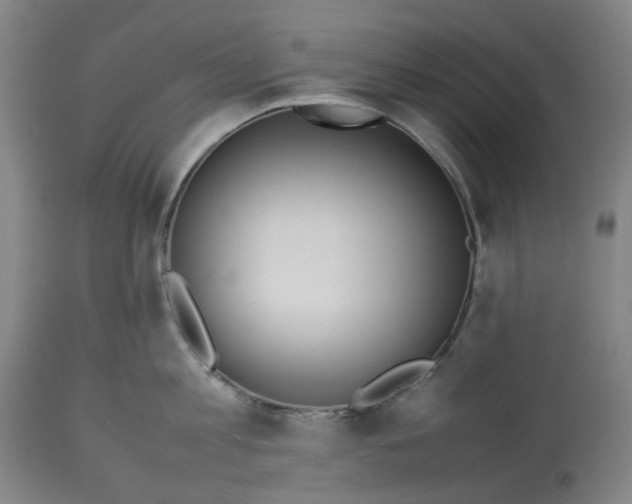 X0000113010813200909171428