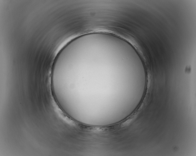 X0000113010814200909171428