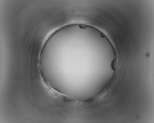 X0000113010815200909171428