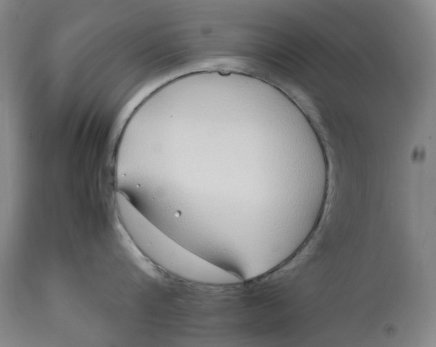 X0000113010816200909171428