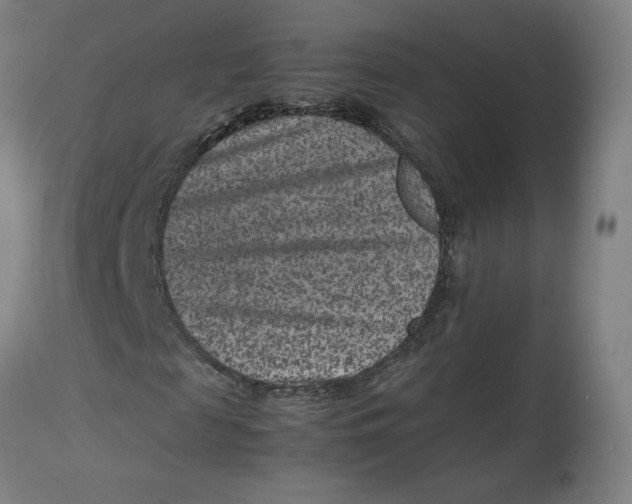 X0000113010817200909171427