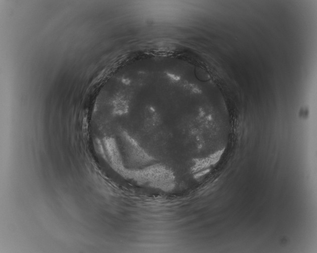 X0000113010818200909171427