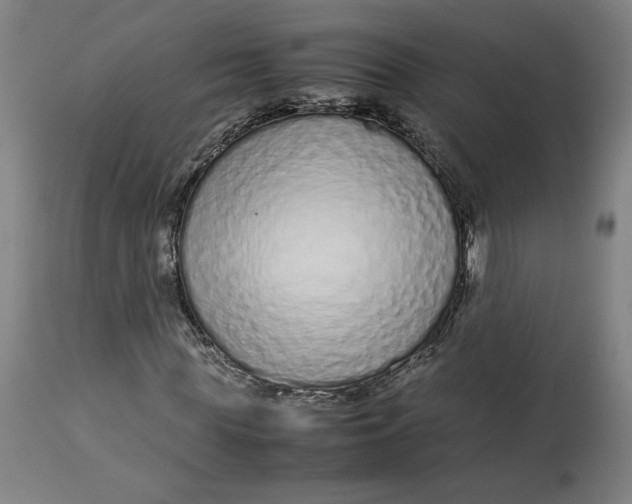 X0000113010819200909171427