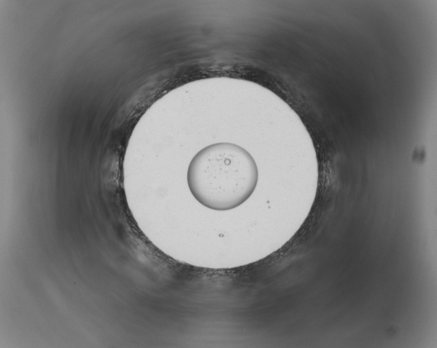 X0000113010820200909171427