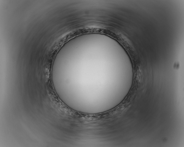 X0000113010821200909171427