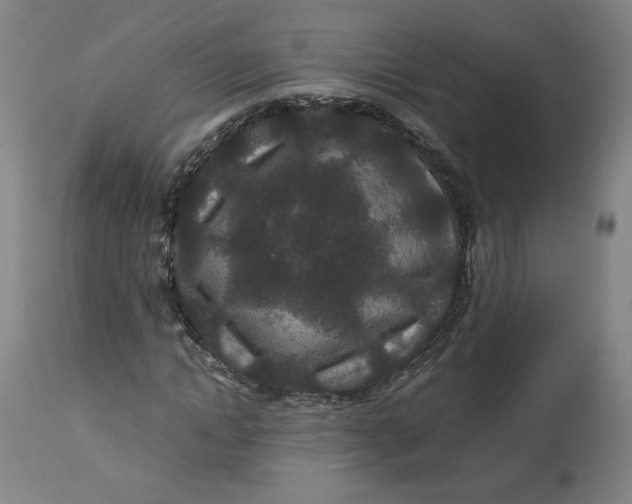 X0000113010822200909171427