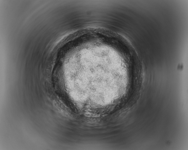 X0000113010823200909171427