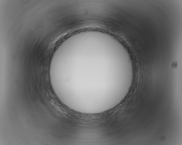 X0000113010824200909171427