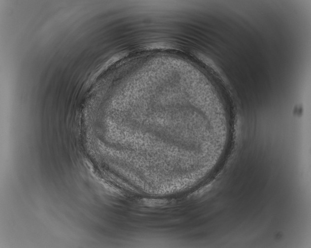 X0000113010825200909171427