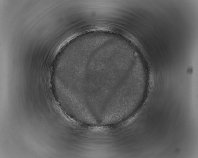 X0000113010826200909171427