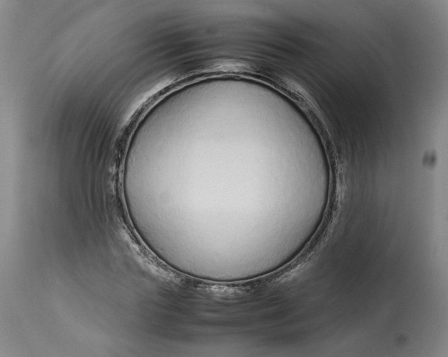 X0000113010827200909171427